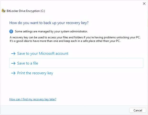 Asistente de cifrado de unidad con BitLocker - Opciones de copia de seguridad de clave de recuperación.